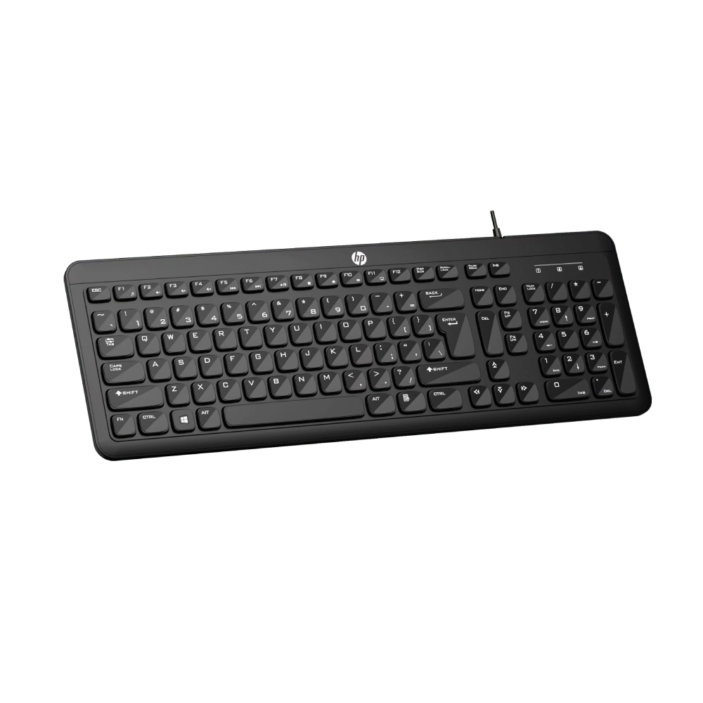 HP USB Keyboard K160 view 3